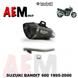 Echappement sport carbone...